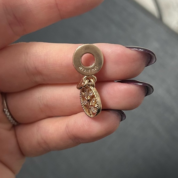 Pandora Family Heritage Dangle Charm - Picture 4 of 4